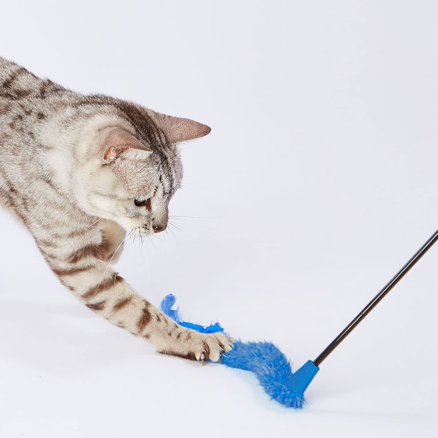 Amazon.co.jp: ペティオ(Petio) 猫用おもちゃ 大好きブルーの